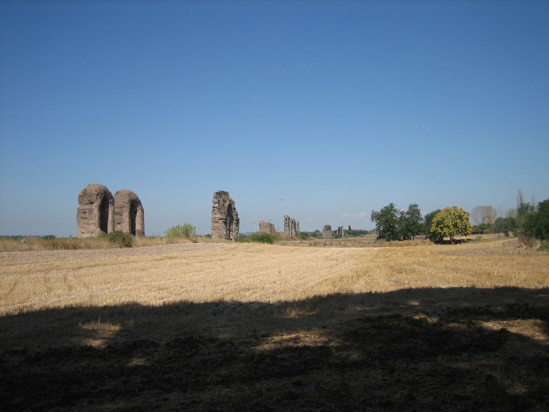 IMG_0323.JPG