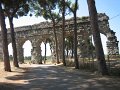 IMG_0322