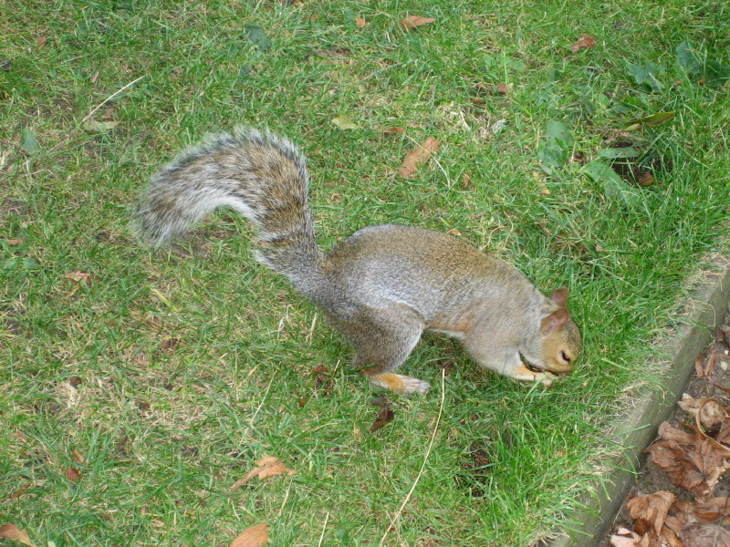 IMG_0762.JPG