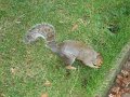 IMG_0762