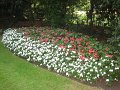IMG_0779