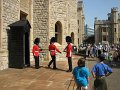 IMG_0794
