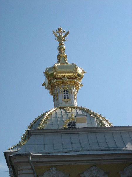IMG_1231.JPG