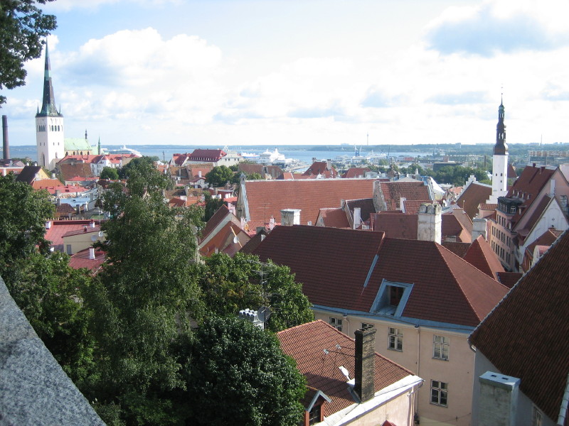 IMG_1368.JPG