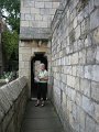 IMG_1445