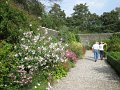 IMG_1601