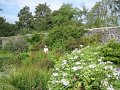 IMG_1603