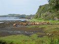 IMG_1605