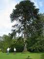IMG_1608