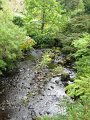 IMG_1609