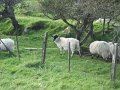 IMG_1627