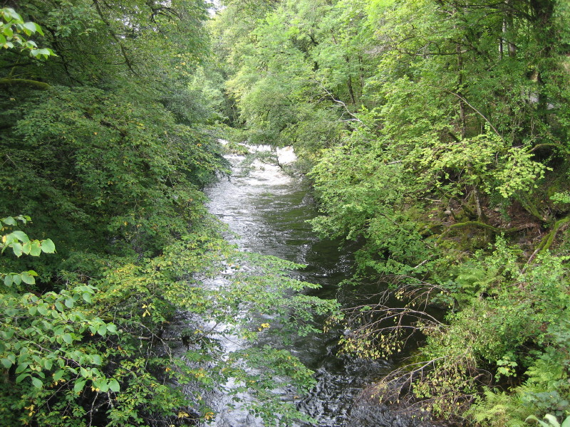IMG_1737.JPG