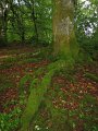 IMG_1732