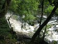 IMG_1736
