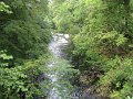 IMG_1737