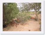 IMG_9131 * Birdsville Cemetery * 2592 x 1944 * (2.49MB)