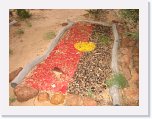 IMG_9133 * Birdsville Cemetery * 2592 x 1944 * (2.38MB)