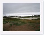 IMG_9139 * Billabong on Diamantina River near Caravan Park Birdsville * 2592 x 1944 * (1.16MB)