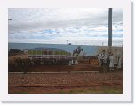 IMG_9283 * Murals Main Street Quilpie * 2592 x 1944 * (1.26MB)