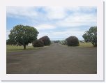 IMG_9304 * Oleanders Charleville Airport * 2592 x 1944 * (1.24MB)