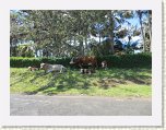 IMG_2915 * 1280 x 960 * (416KB)
